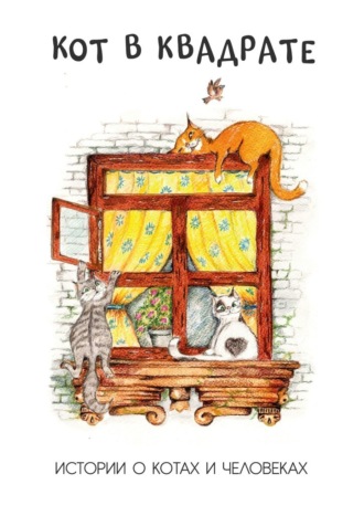 Обложка книги «Кот в квадрате. Истории о котах и человеках»