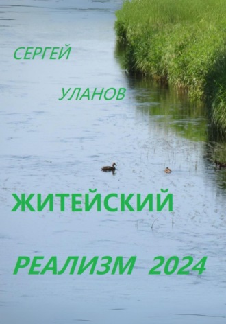 Обложка книги «Житейский реализм 2024»