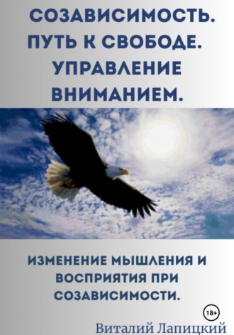 Обложка книги «Созависимость. Путь к свободе. Управление вниманием»
