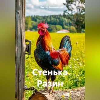 Обложка книги «Стенька Разин»