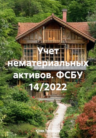 Обложка книги «Учет нематериальных активов. ФСБУ 14/2022»