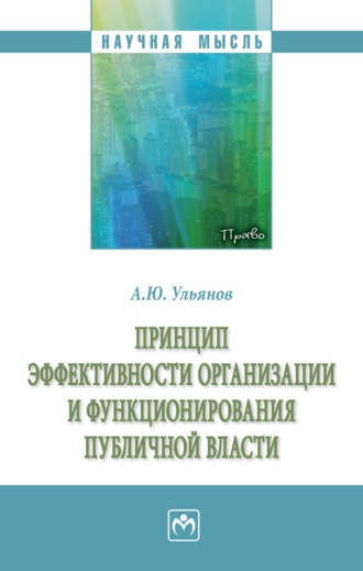 Александр Юрьевич Ульянов. Принцип эффективности организации и функционирования публичной власти
