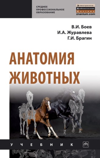 Вячеслав Иванович Боев. Анатомия животных