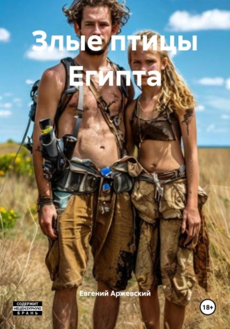 Обложка книги «Злые птицы Египта»