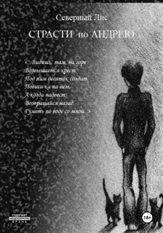 Обложка книги «Страсти по Андрею»