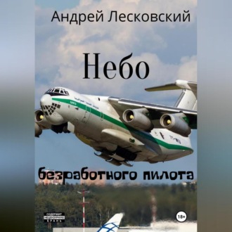 Обложка книги «Небо безработного пилота»