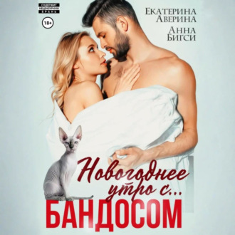 Обложка книги «Новогоднее утро с… Бандосом!»