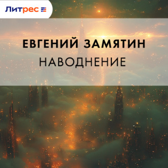 Обложка книги «Наводнение»