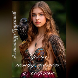 Обложка книги «Крылья между жизнью и смертью»