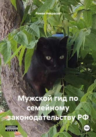 Обложка книги «Мужской гид по семейному законодательству РФ»