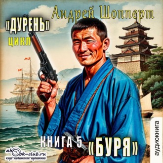 Обложка книги «Дурень. Книга пятая. Буря»