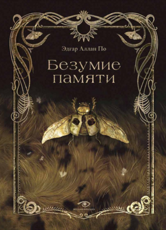 Обложка книги «Безумие памяти»