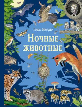 Обложка книги «Ночные животные»
