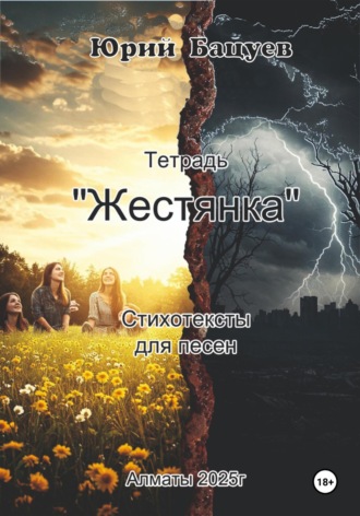 Обложка книги «Тетрадь «Жестянка»»