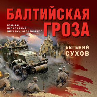 Обложка книги «Балтийская гроза»