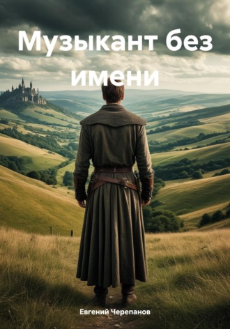 Обложка книги «Музыкант без имени»