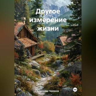 Обложка книги «Другое измерение жизни»