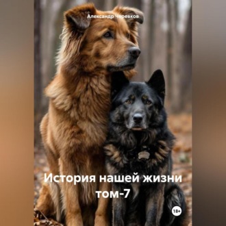 Обложка книги «История нашей жизни том-7»