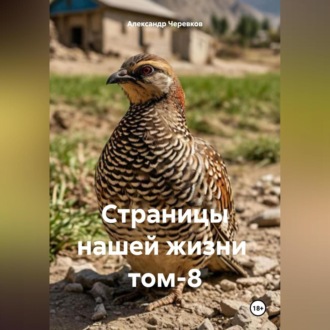 Обложка книги «Страницы нашей жизни том-8»