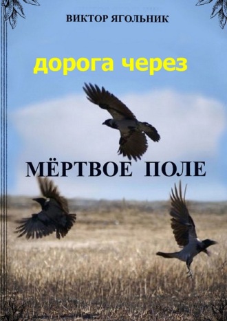 Обложка книги «Дорога через мертвое поле. Приключенческий роман. Продолжение книги «Полет в новый мир»»