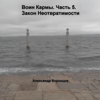 Обложка книги «Воин Кармы. Часть 5. Закон Неотвратимости»