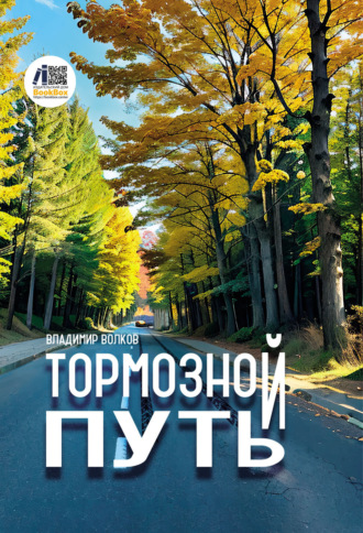 Обложка книги «Тормозной путь»