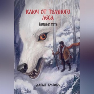 Обложка книги «Ключ от Тёмного Леса. Незваные гости»
