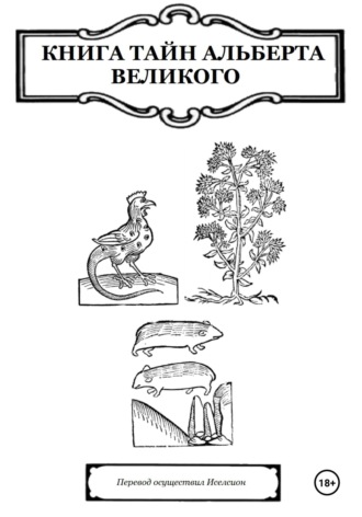 Обложка книги «Книга Тайн Альберта Великого»