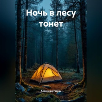 Обложка книги «Ночь в лесу тонет»