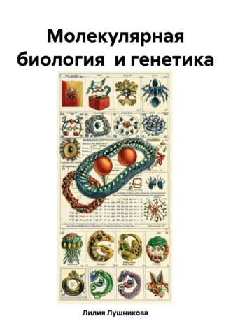 Обложка книги «Молекулярная биология и генетика»