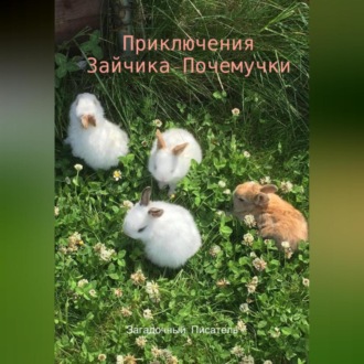 Обложка книги «Приключения Зайчика-Почемучки»