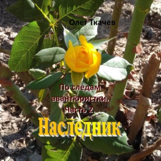 Обложка книги «По следам авантюристки. Часть 2. Наследник»