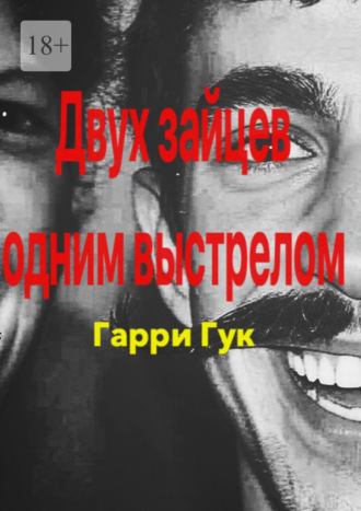 Обложка книги «Двух зайцев одним выстрелом»