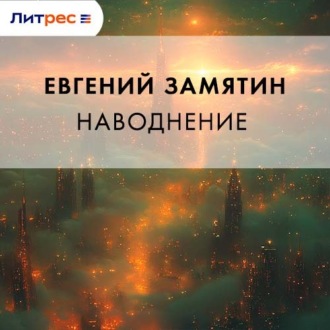 Обложка книги «Наводнение»