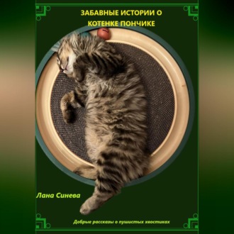 Обложка книги «ЗАБАВНЫЕ ИСТОРИИ О КОТЕНКЕ ПОНЧИКЕ»