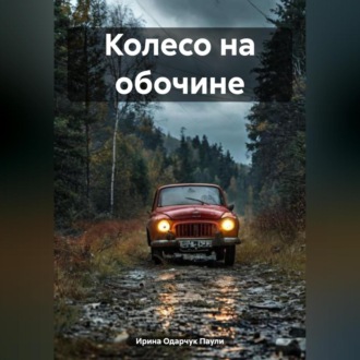 Обложка книги «Колесо на обочине»