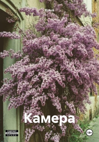 Rimus. Камера