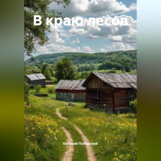 Обложка книги «В краю лесов»