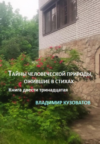 Обложка книги «Тайны человеческой природы, ожившие в стихах. Книга двести тринадцатая»