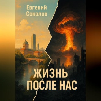 Обложка книги «Роман ЖИЗНЬ ПОСЛЕ НАС»