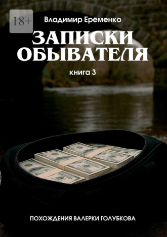 Обложка книги «Записки обывателя. Книга 3. Похождения Валерки Голубкова»