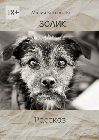 Обложка книги «Золик»