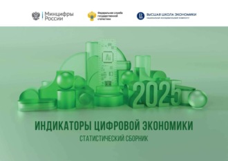 Группа авторов. Индикаторы цифровой экономики 2025