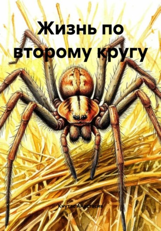 Кнутас Анастасия. Жизнь по второму кругу