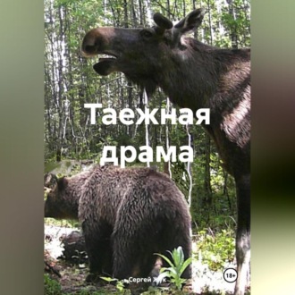 Обложка книги «Таежная драма»