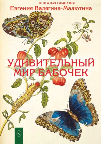 Обложка книги «Удивительный мир бабочек»