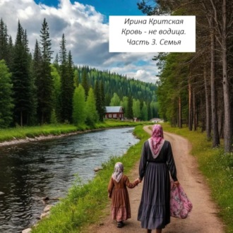 Обложка книги «Кровь не водица. Часть 3. Семья»