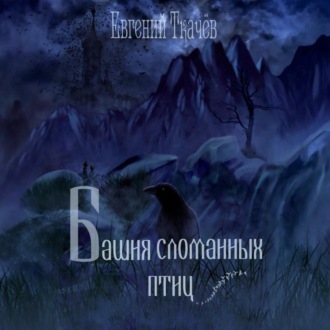 Обложка книги «Башня сломанных птиц»