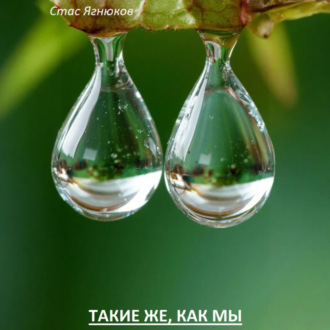 Обложка книги «Такие же, как мы»
