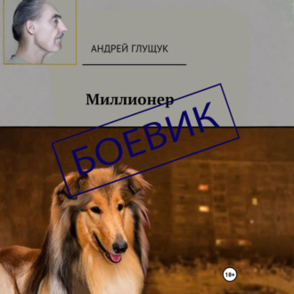 Обложка книги «Миллионер»